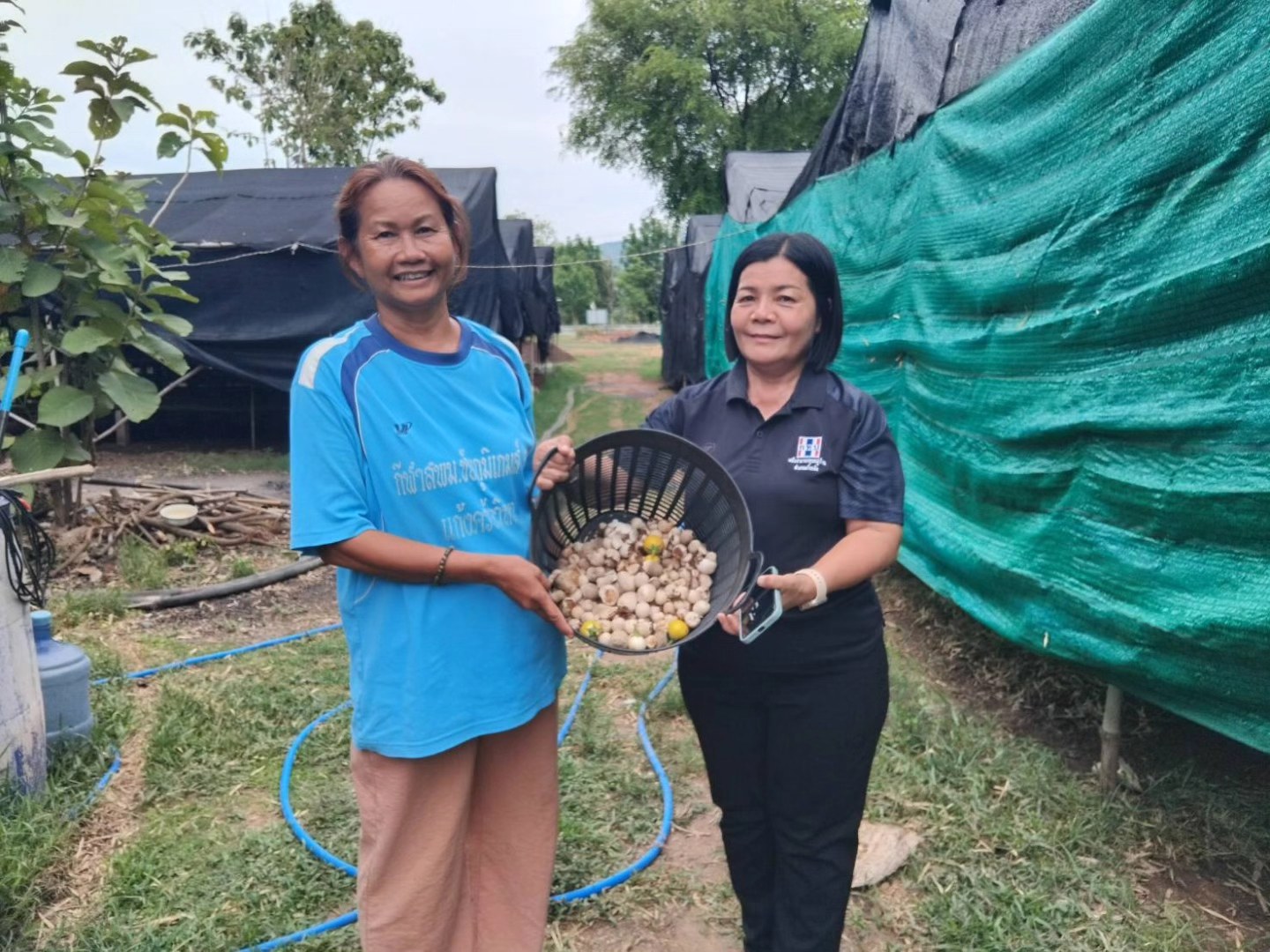  📢สพอ.แก้งคร้อ : เมืองน่าอยู่ ผู้คนน่ารัก ลงพื้นที่ส่งเสริม สนับสนุนการเยี่ยมชม และให้กำลังใจสมาชิกกองทุนพัฒนาบทบาทสตรี กลุ่มเพาะเห็ดฟาง